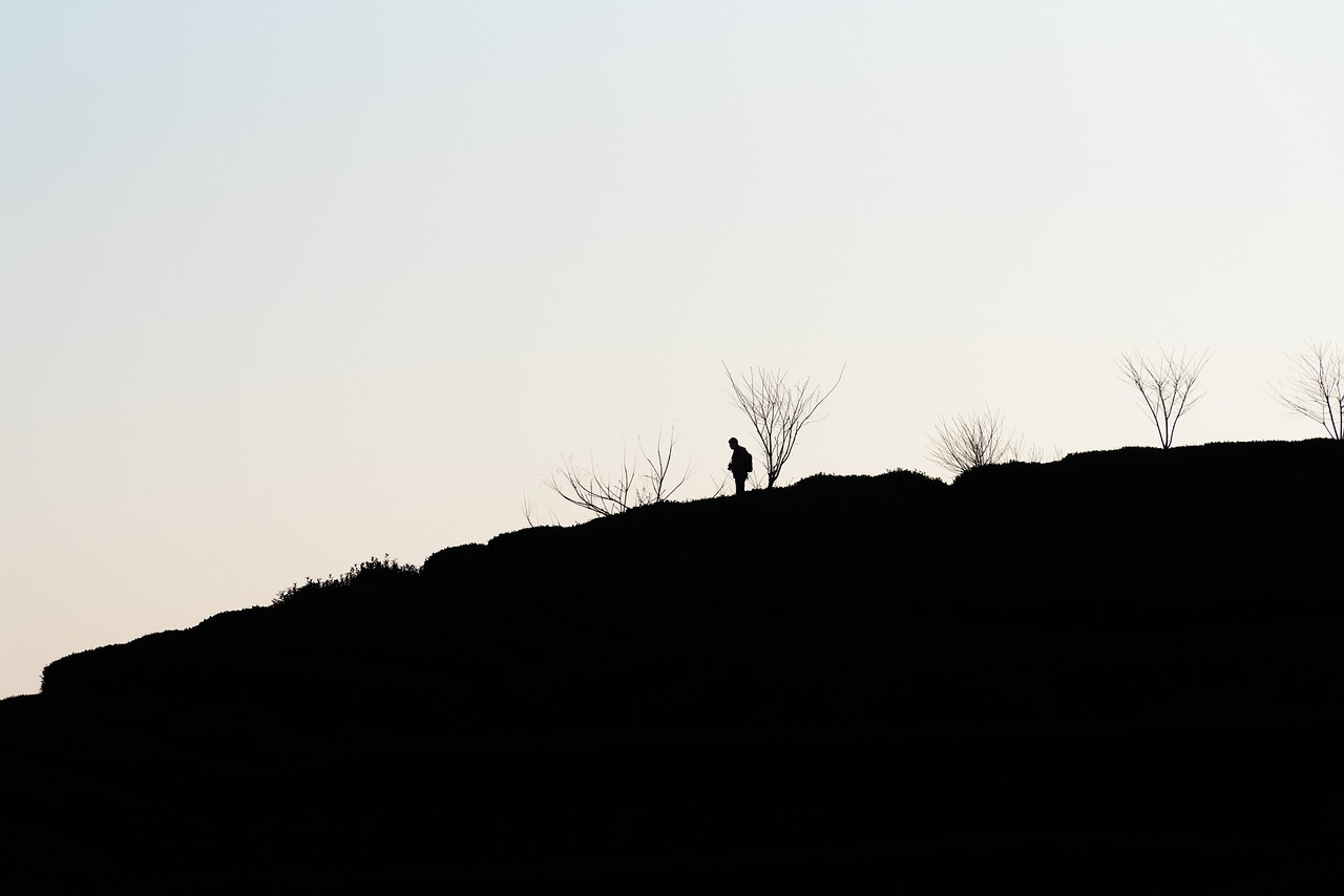 혼자 떠나는 당일치기 힐링 여행지 관련 사진