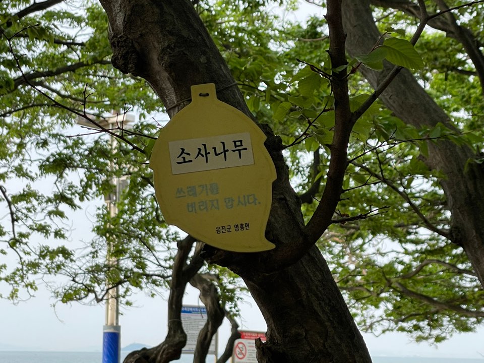 영흥도 십리포