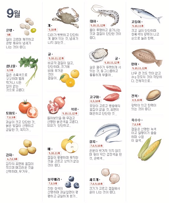 9월 제철음식