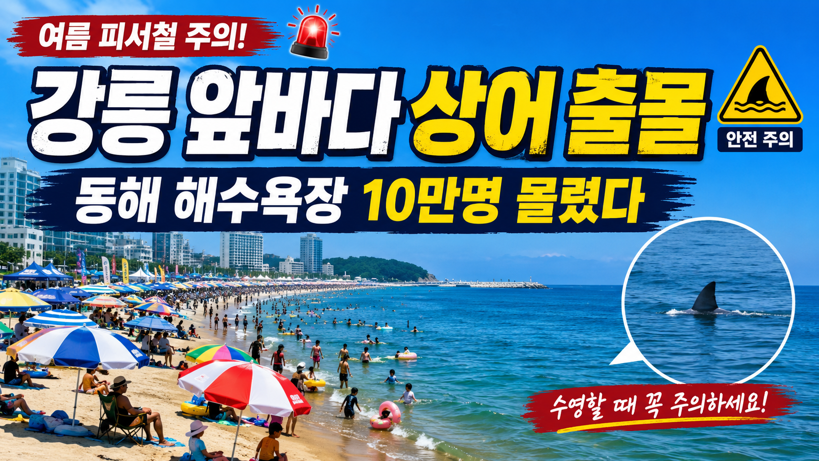 강릉 경포해수욕장과 안목해변 인근 앞바다에서 상어 출몰 신고가 접수된 상황과 동해안 해수욕장 피서객 안전수칙을 정리한 정보 이미지