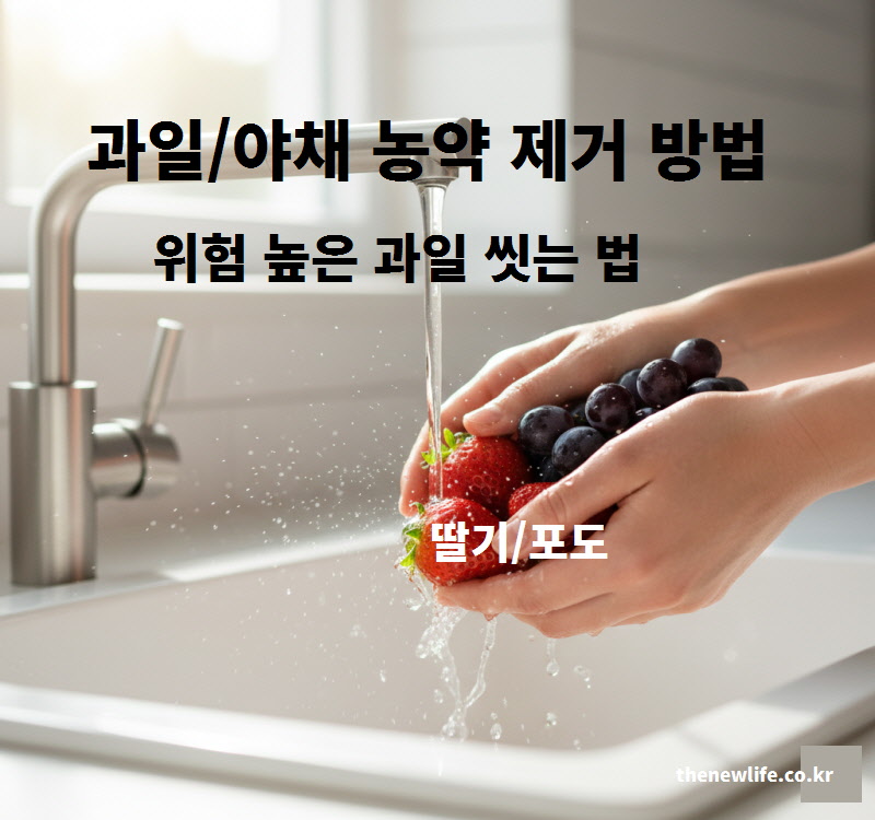 딸기를 빠르게 씻고 포도를 담금물에 넣어 과일 야채 농약 제거 방법을 실천하는 모습