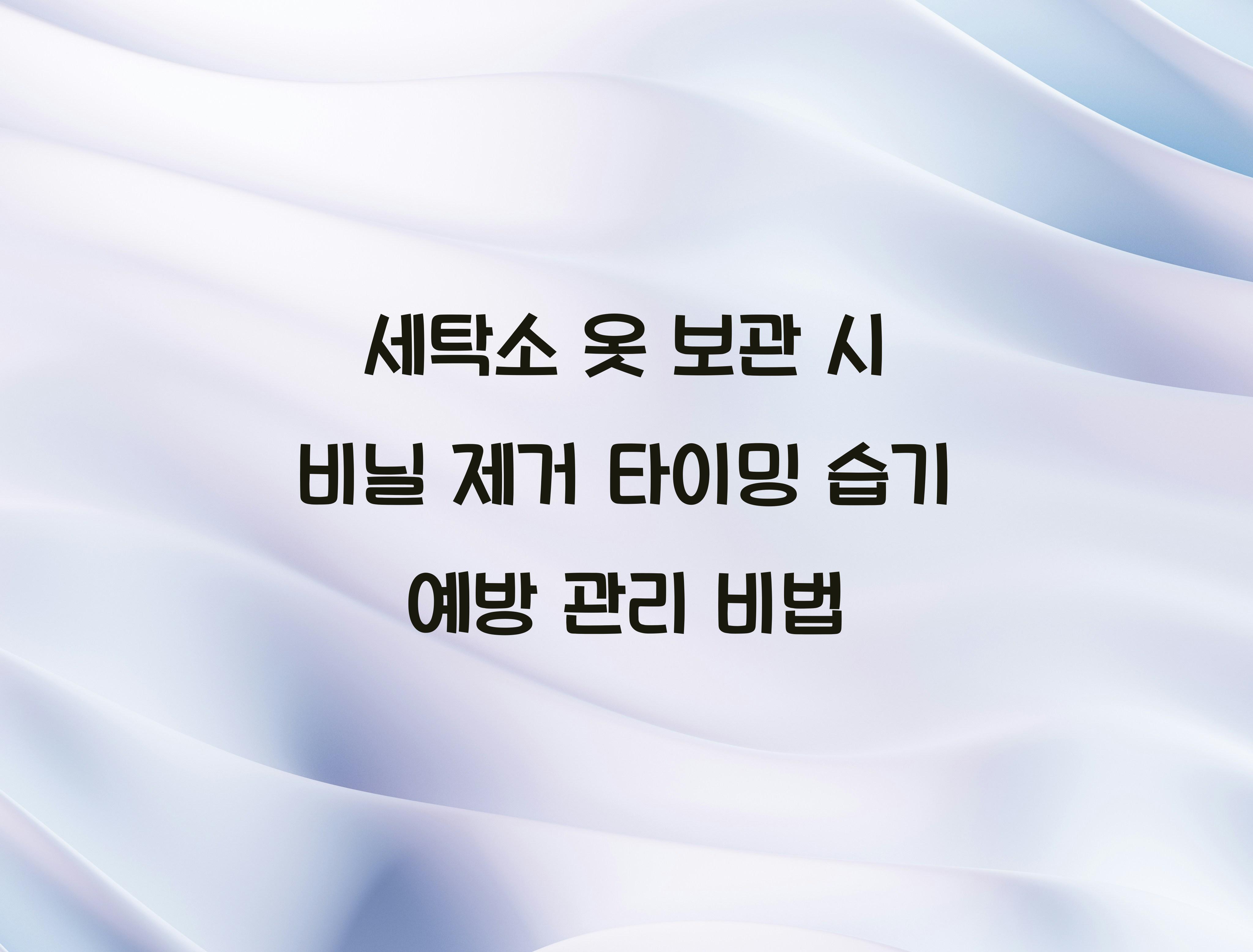 세탁소 옷 보관 시 비닐 제거 타이밍
