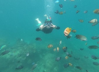 따뜻한 휴양지 추천 베스트 5 보라1