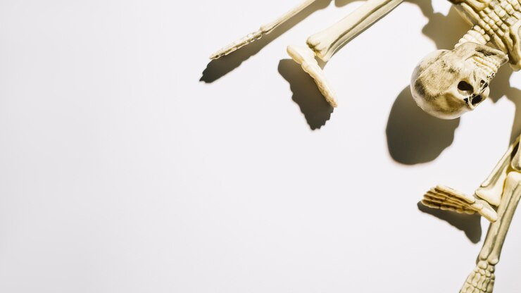 사망신고시 필요한 서류