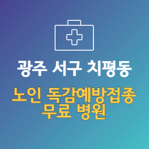 광주 서구 치평동 노인 독감예방접종 무료 병원