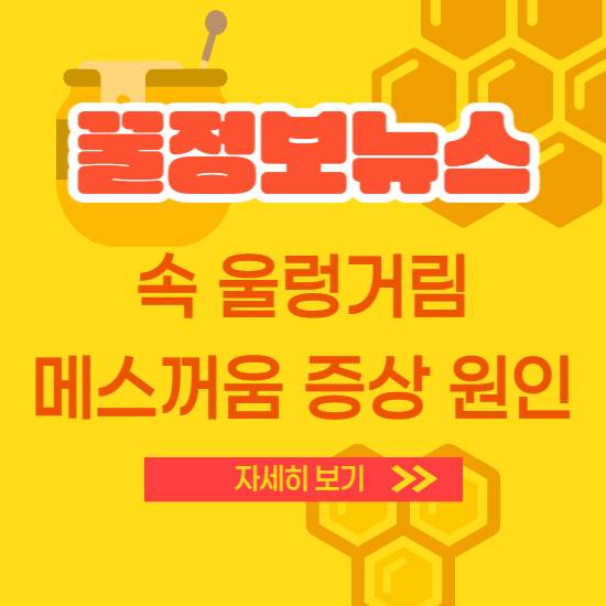 속 울렁거림 속 메스꺼움 증상 원인