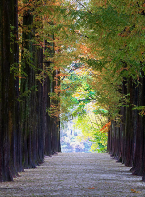 가족과함께할국내여행지