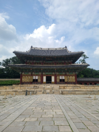 서울 가볼만한 곳 창경궁