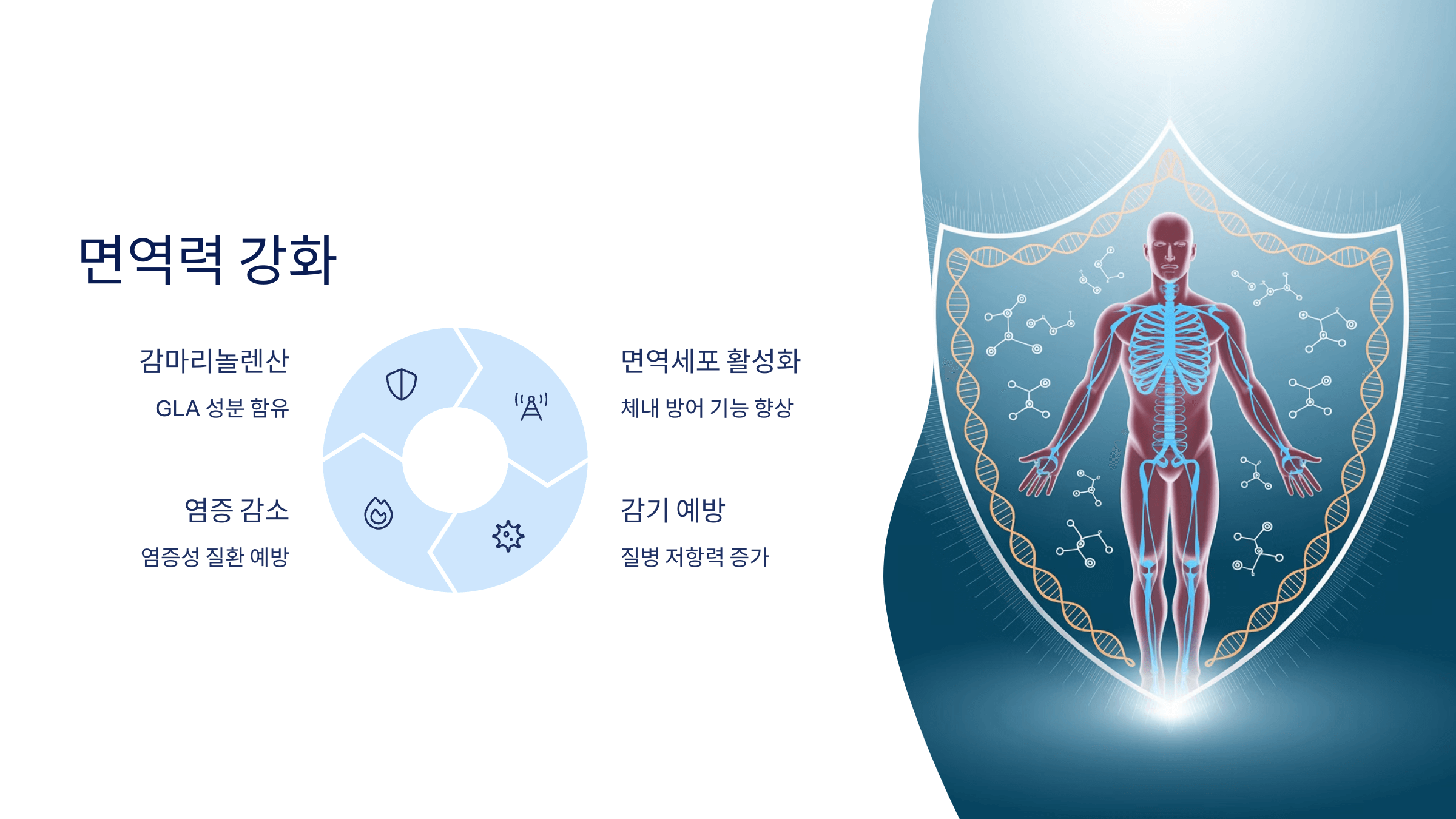 대마종자유와 관련된 사진입니다.