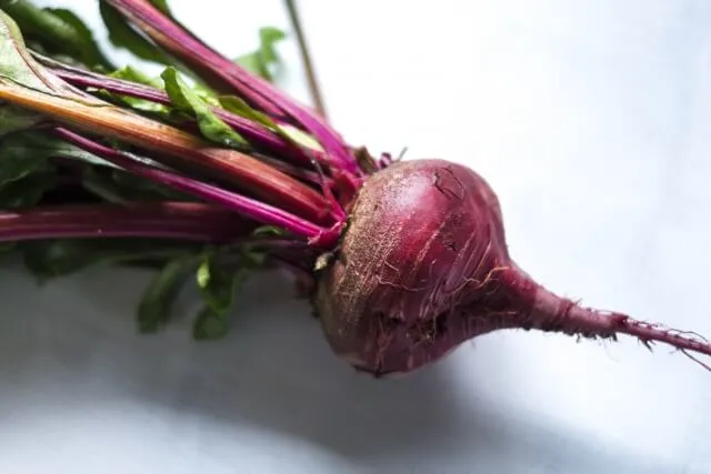 말린비트차 혈압 안정 효능