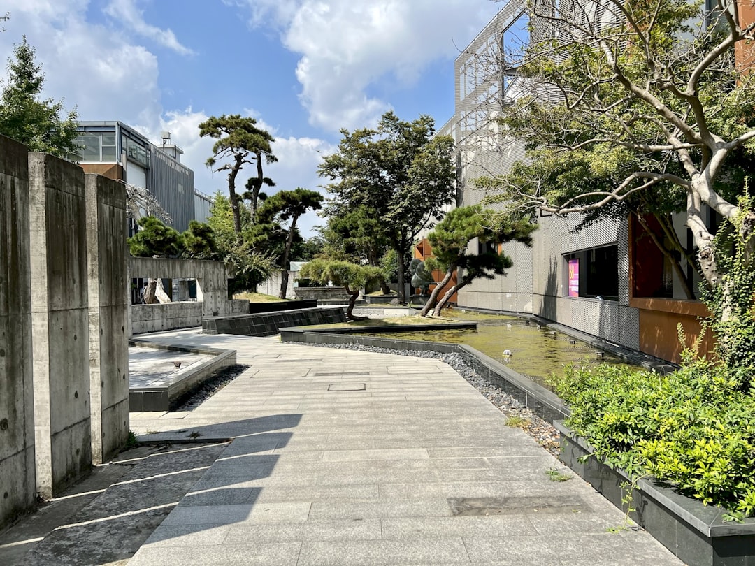 Art Park