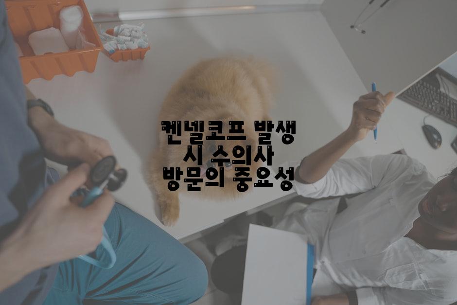 켄넬코프 발생 시 수의사 방문의 중요성