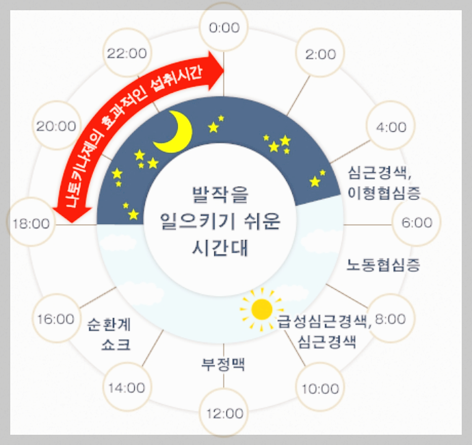 나토키나제 복용시간