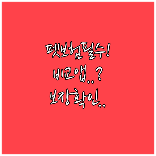 반려견 펫보험 비교 앱 사용법과 보장..
