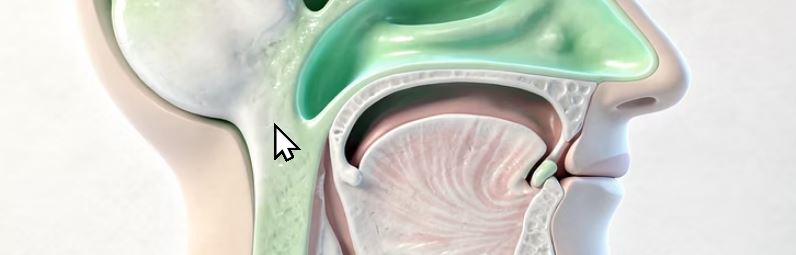 눈에 이물질이 낀것 같은 증상