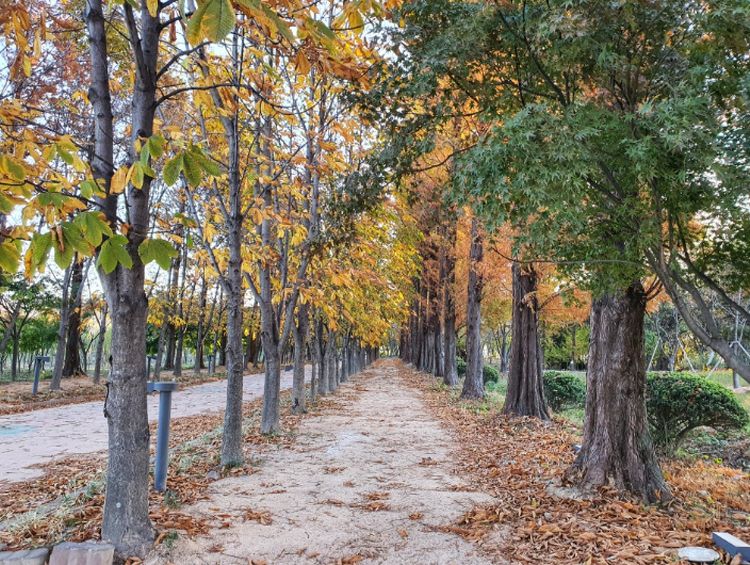 경북천년숲정원
