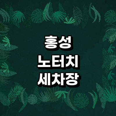 홍성군 노터치 세차