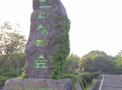 한라생태숲 관람 가이드 ❘ 이용 정보·관람 시간·방문 전 주의사항 총정리