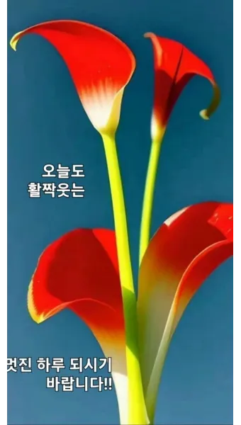 아침인사 이쁜글 다운로드_9