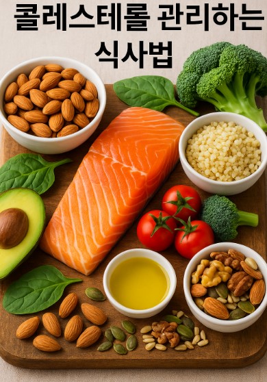 콜레스테롤 식단 관련 사진