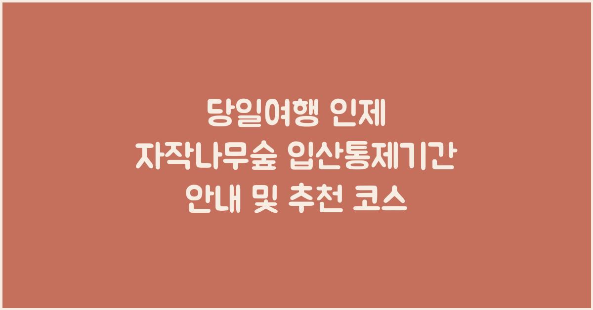당일여행 인제 자작나무숲 입산통제기간