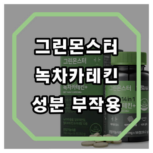 그린몬스터 다이어트 효과 원리에 관하여