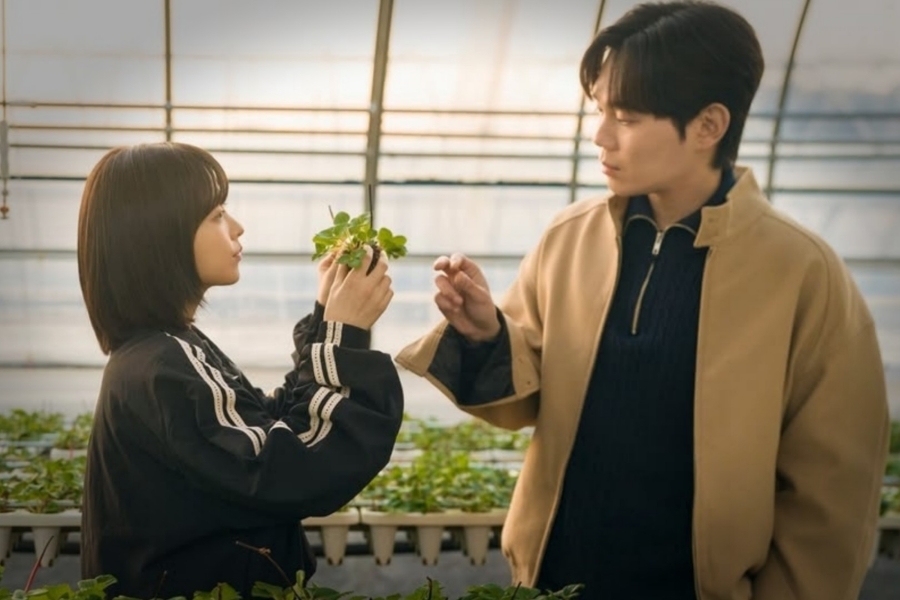 미지의 서울 박보영