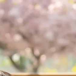 아이 스마트폰 중독 이미지