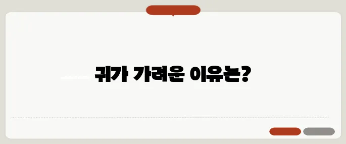 귀속이 가려운 이유 알레르기 vs 습진?
