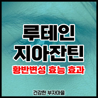 루테인 지아잔틴