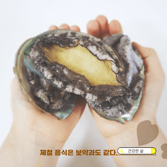11월 제철 해산물