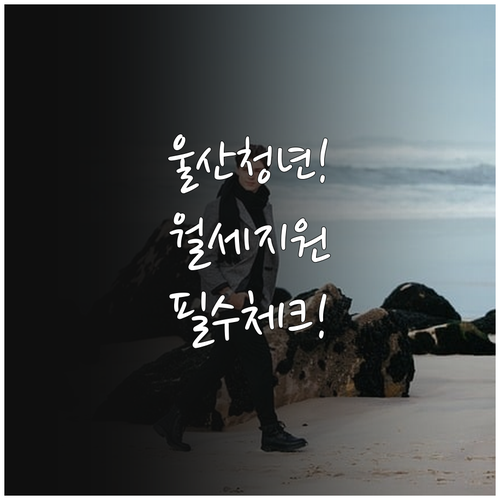 울산 청년월세 지원 사업 대상자 확인..