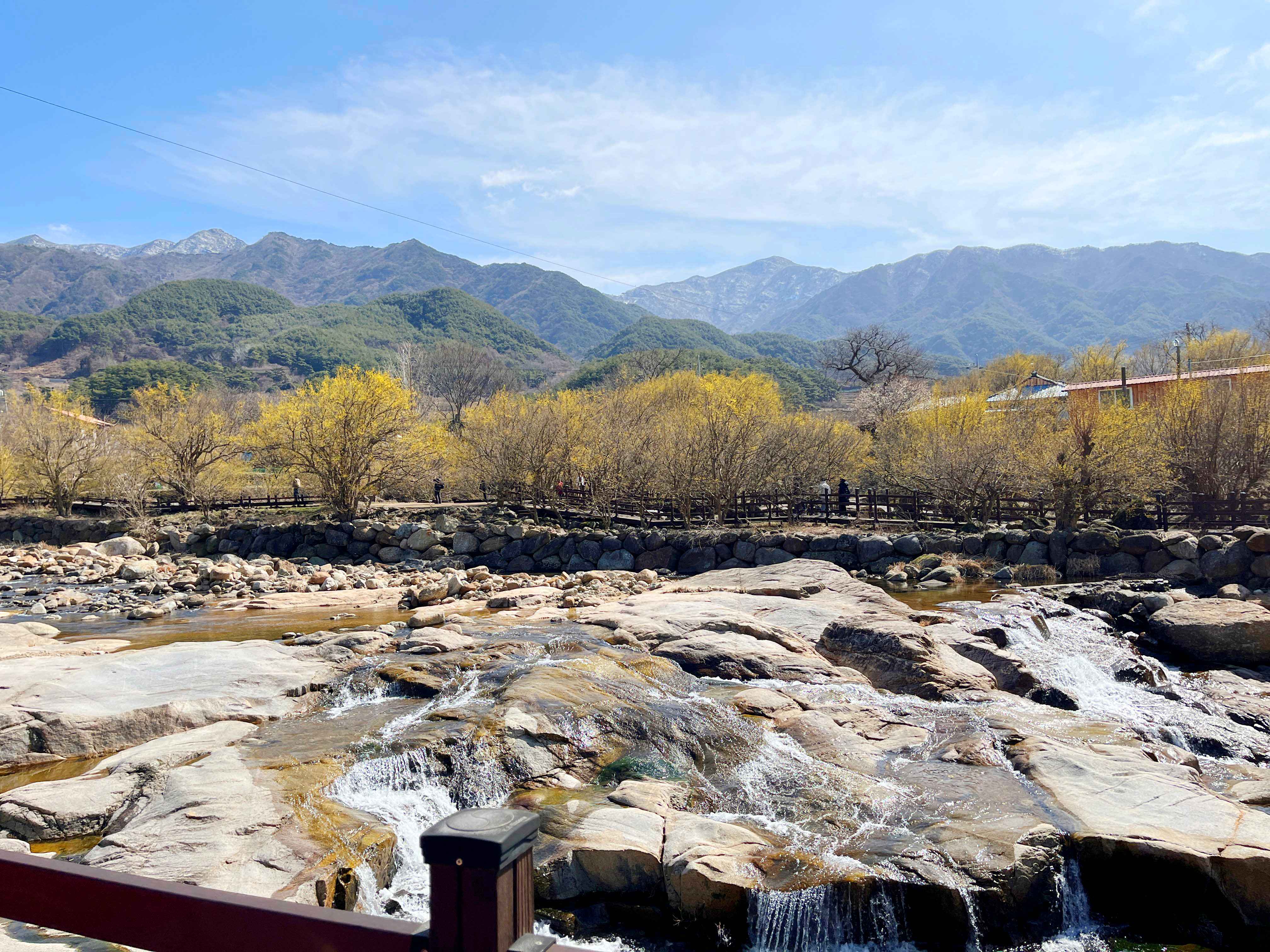 구례 산수유마을 반곡마을