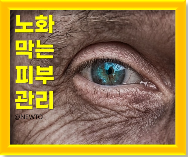 피부 노화의 원인, 안티에이징 화장품 및 제품, 노화막는 피부관리법