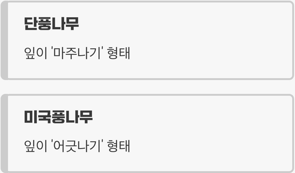 잎 모양&amp;#44; 가장 큰 오해의 시작