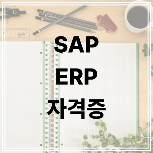 SAP ERP 자격증