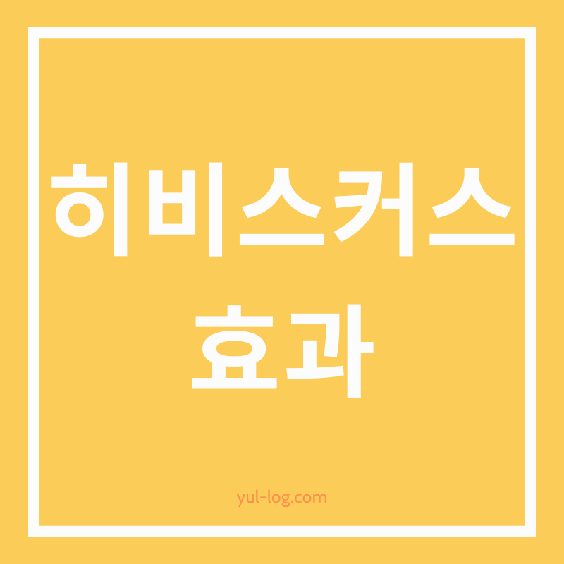 히비스커스의 숨겨진 효과와 부작용: 완벽 가이드