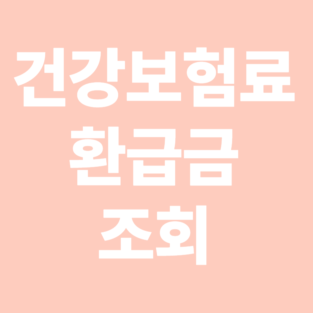 건강보험료 환급금 조회