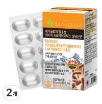 메이플트리 장용성 100억 프로바이오틱스 생유산균, 2개