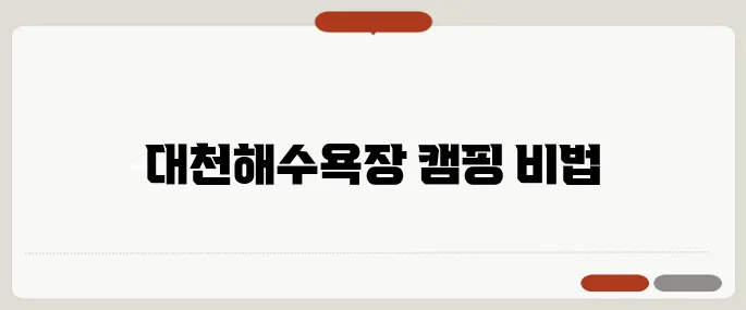 제대로 즐기는 캠핑, 대천해수욕장에서의 완벽한 하루