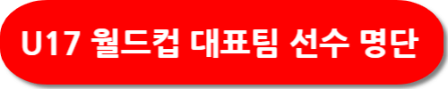 FIFA U17 월드컵 대표팀 명단