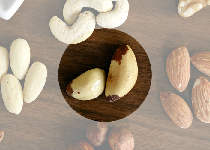 브라질너트와 다른 견과류들 이미지