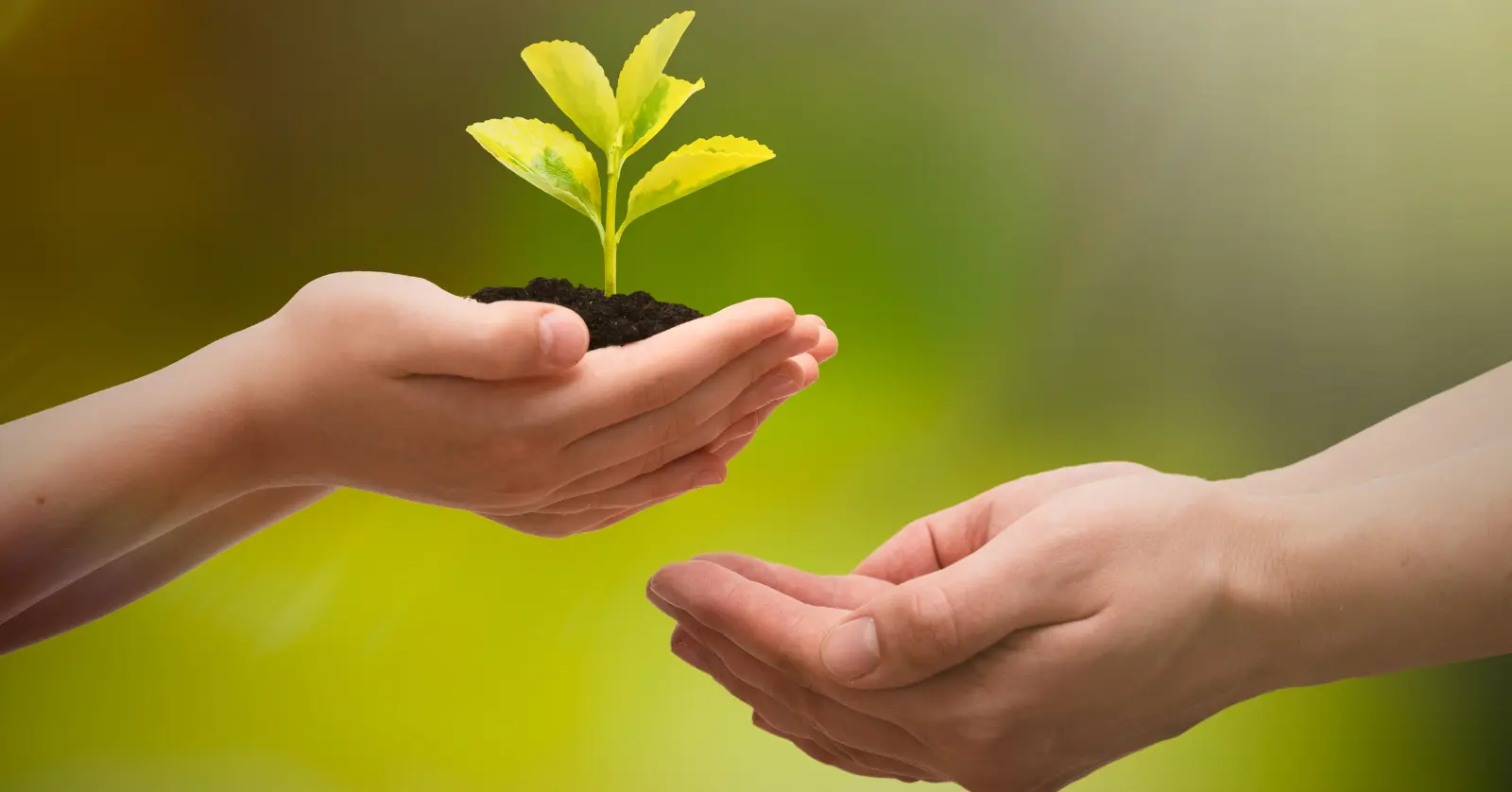 음식물처리기 지원금 지자체별 지원금 규모