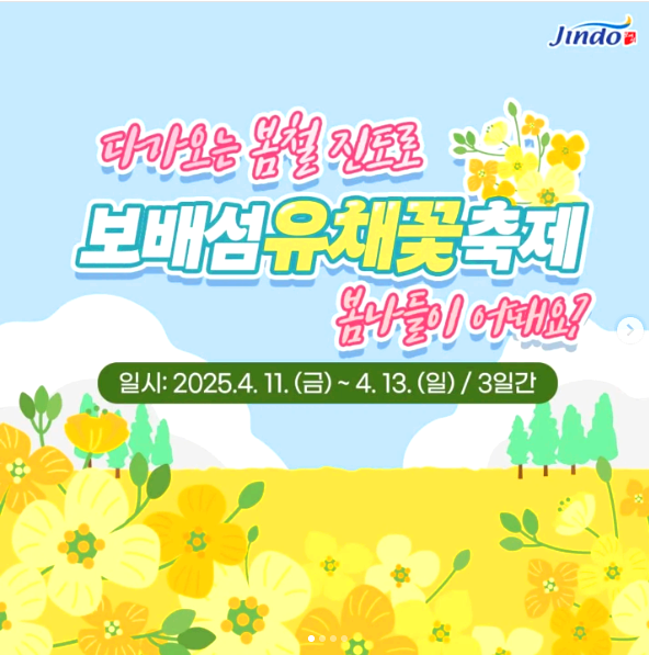 보배섬 유채꽃축제