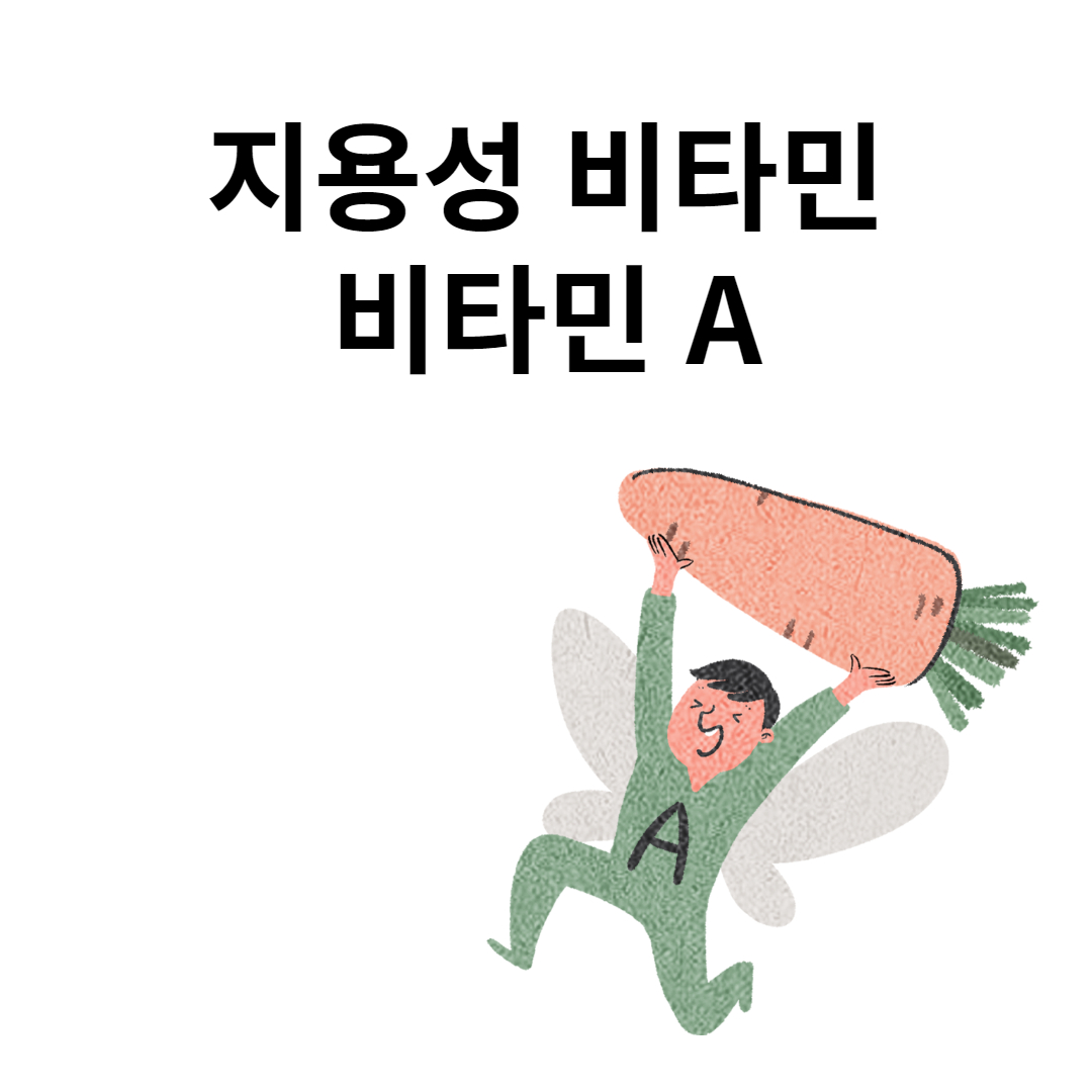지용성 비타민 비타민 A