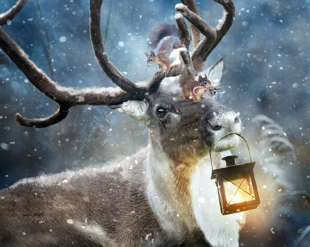 연결을 끊고 자유를 찾다 — 24시간 스마트폰 멀리하기