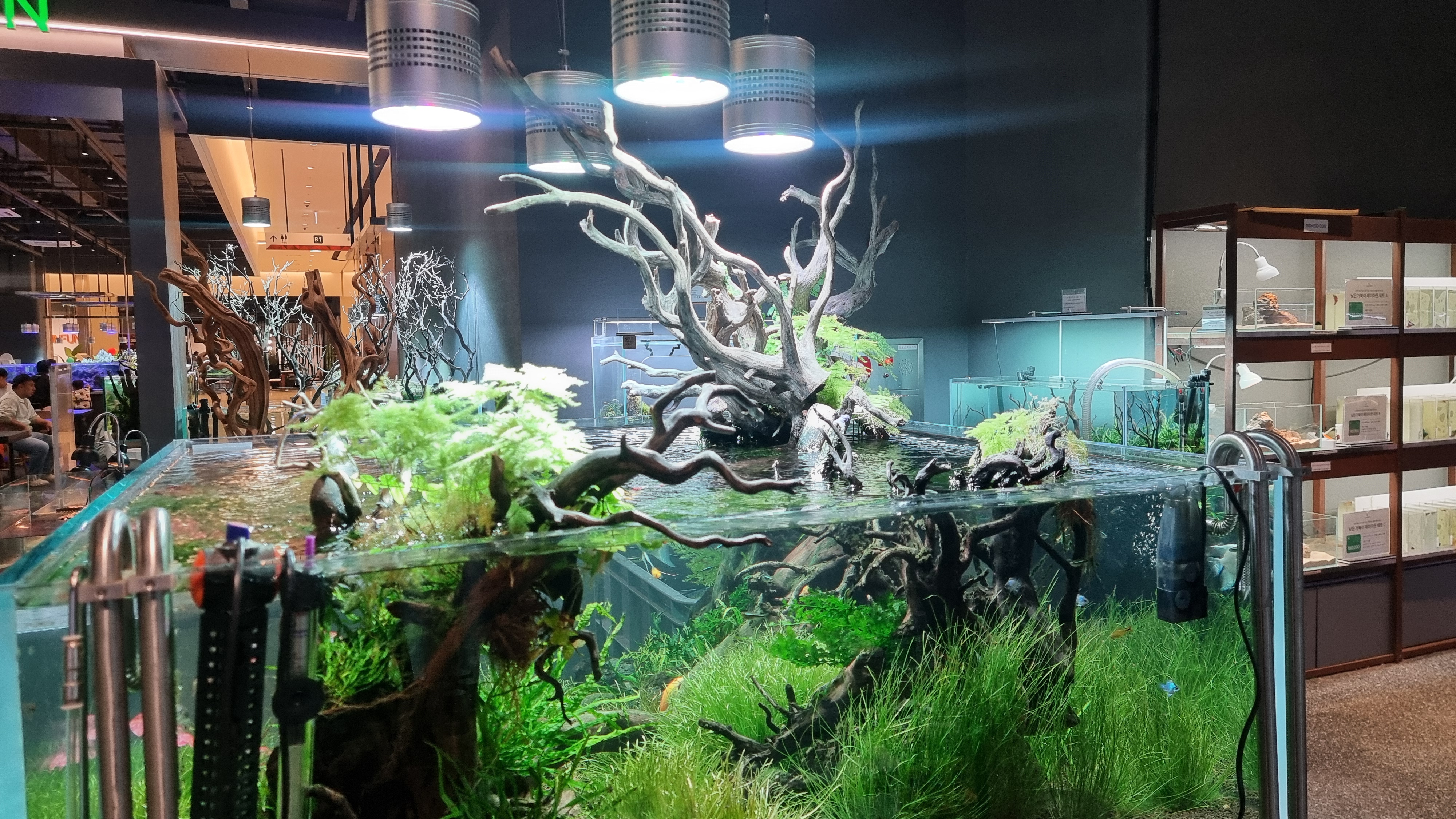 아쿠아가든카페 이쁜 어항 세트