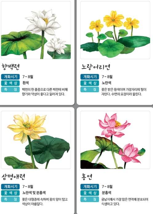 부여 서동연꽃 축제 주변 여행‧맛집 코스