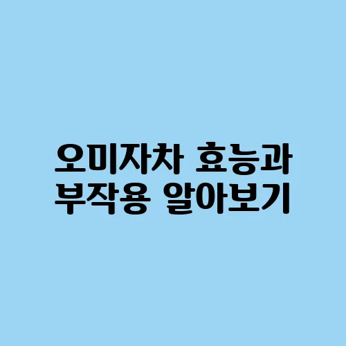 오미자차 효능과 부작용 알아보기