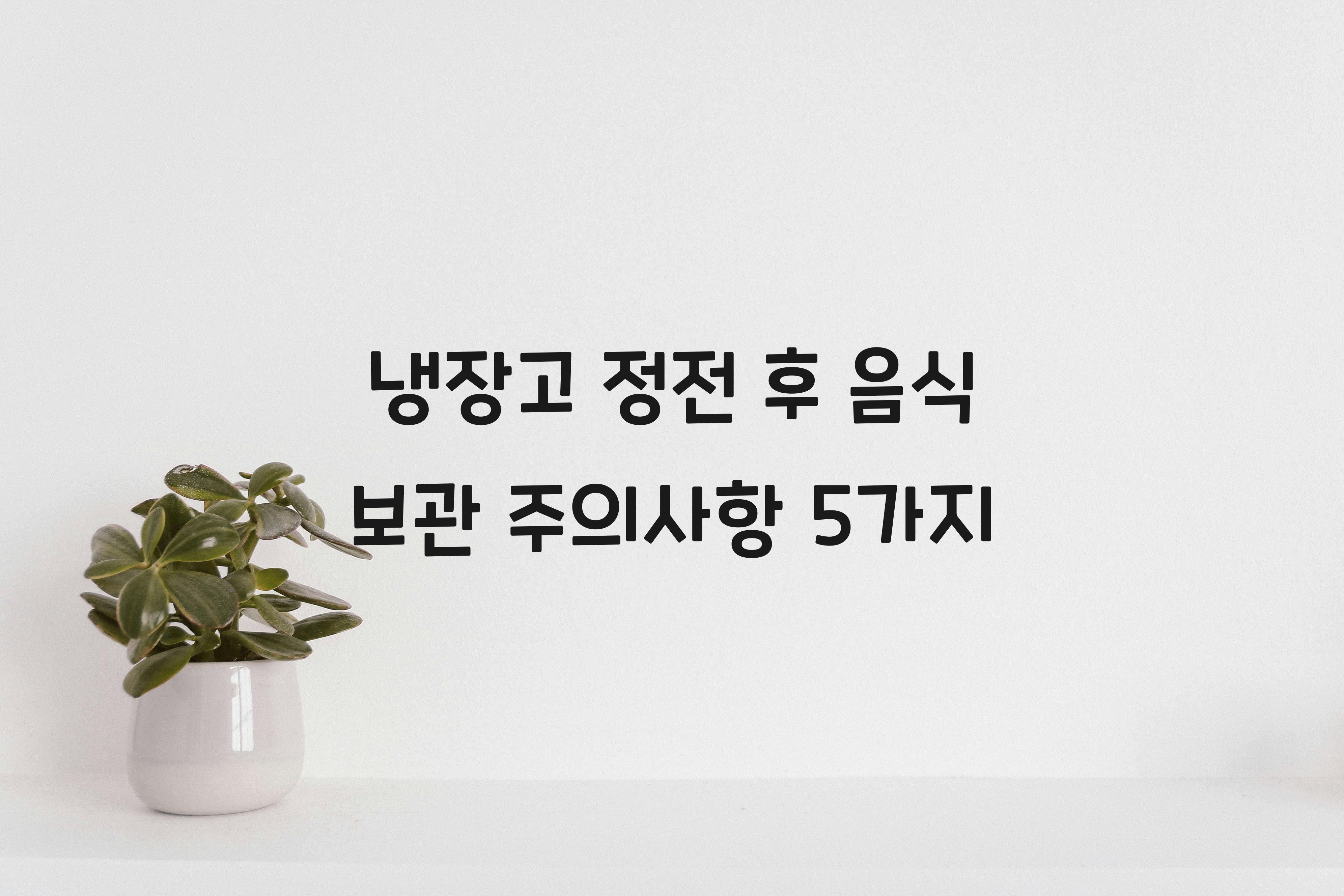 냉장고 정전 후 음식 보관 주의사항